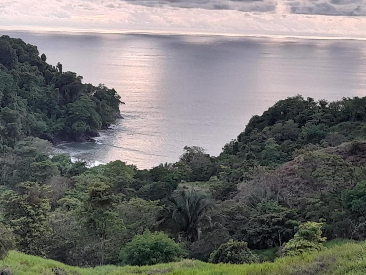 Casa Escondida Apartments Manuel Antonio Dış mekan fotoğraf