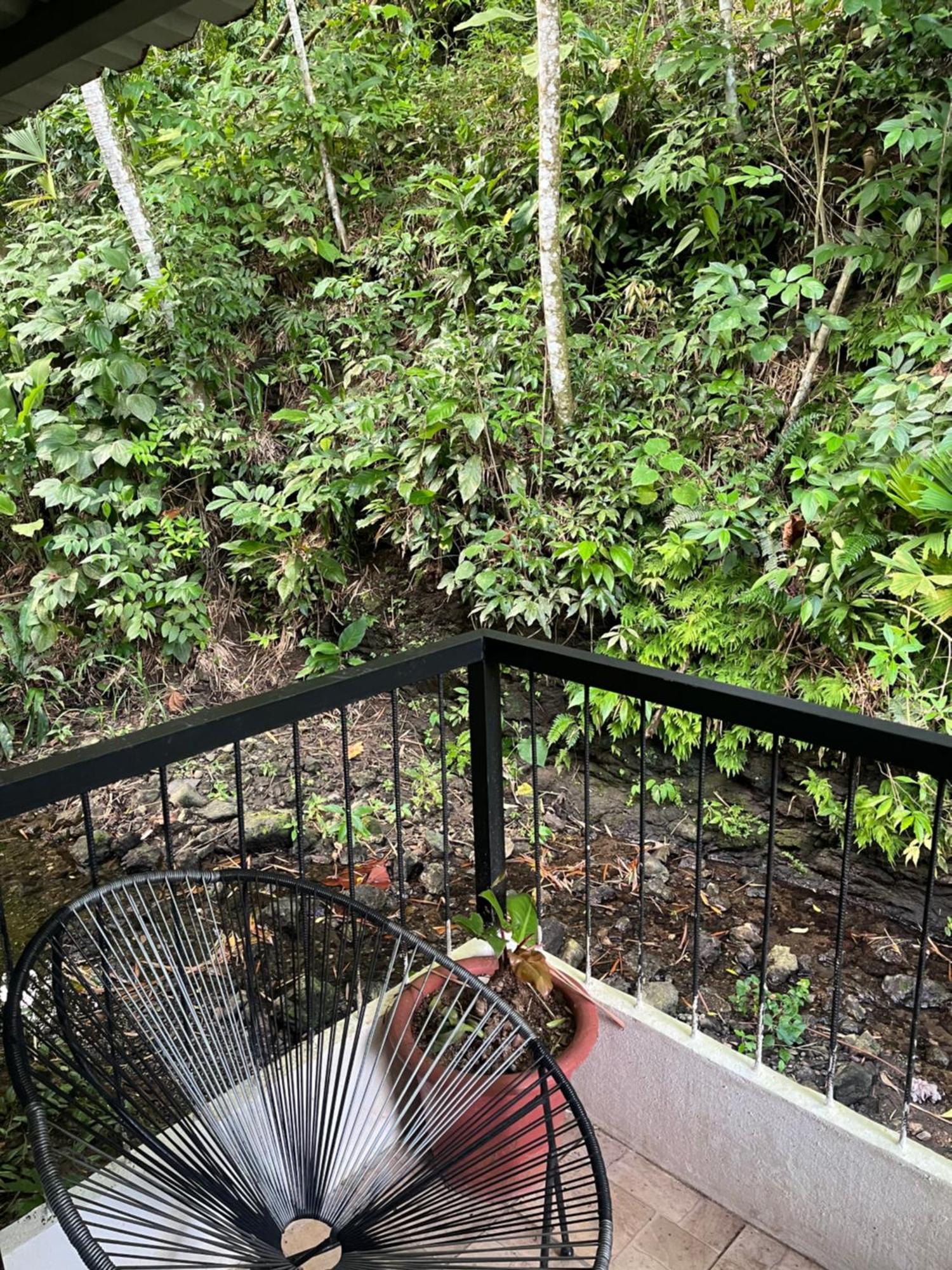Casa Escondida Apartments Manuel Antonio Dış mekan fotoğraf